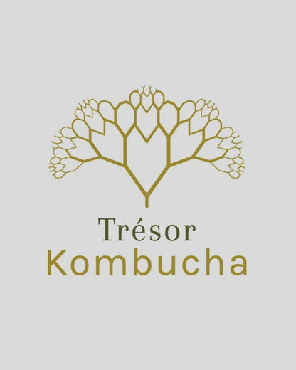 KOMBUCHA  by TRESOR